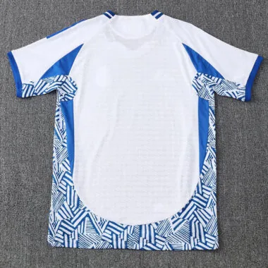 25-26 Real Madrid white and blue training jersey