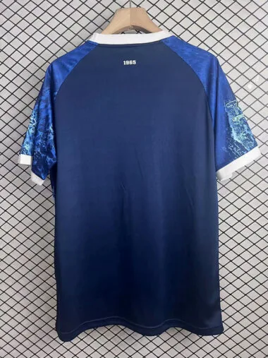 25-26 Hansa Rostock blue special jersey