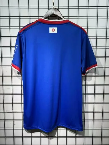 25-26 Fortuna Düsseldorf Special jersey