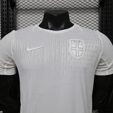 Mens Norway 2026 World Cup Third Away player version Jersey (S-2XL)
