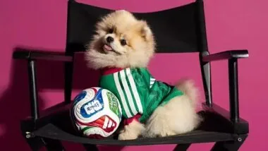 CAMISOLA DE ANIMAIS DE ESTIMAÇÃO DO MUNDO DE FUTEBOL DO MÉXICO 2026, tamanhos XS-XL