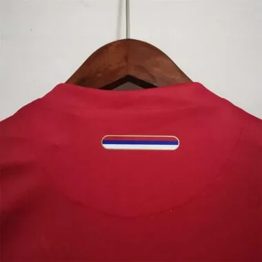 2010 Serbia home