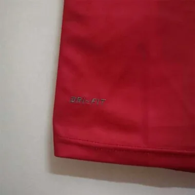 2010 Serbia home