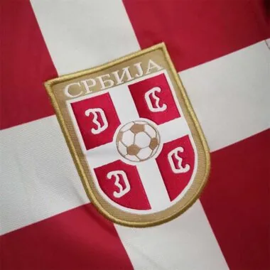 2010 Serbia home