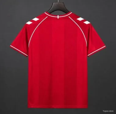 Denmark 2026 World Cup Hpme Jersey (S-4XL)