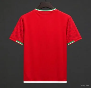 Iran 2026 World Cup Away Soccer Jersey (S-4XL)