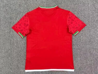 Iran 2026 World Cup Away Soccer Jersey (S-4XL)