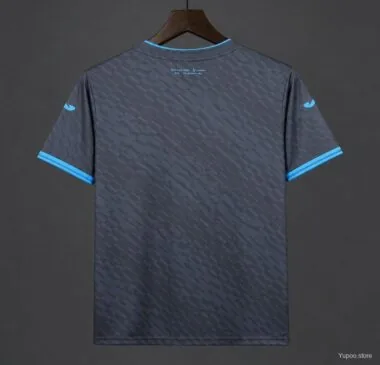 Mens Honduras 2026 World Cup Third Away Jersey (S-4XL)