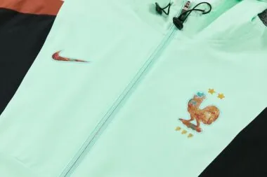 France 2026 Light Green hoodie Suit (S-XXL)
