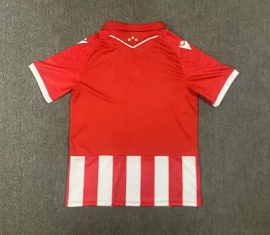 Red Star Belgrade 2026/27 Home Soccer Jersey
