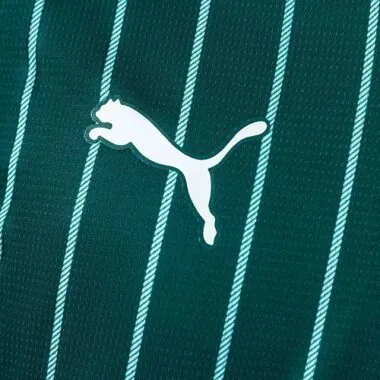 Plymouth Argyle 2026/27 Home Soccer Jersey (S-4XL)