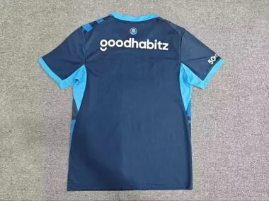 PSV Eindhoven 2026/27 Third Away Jersey (S-4XL)