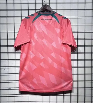 SV Werder Bremen 2026/27 Third Jersey (S-4XL)