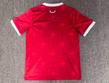 Wales 2026/27 Home Jersey (S-4XL)