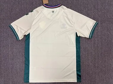 AS Saint-Étienne 2026/27 Away Jersey (S-4XL)