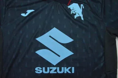 Torino 2026/27 Third Away soccer Jersey (S-2XL)