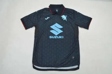 Torino 2026/27 Third Away soccer Jersey (S-2XL)